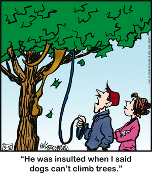marmaduke